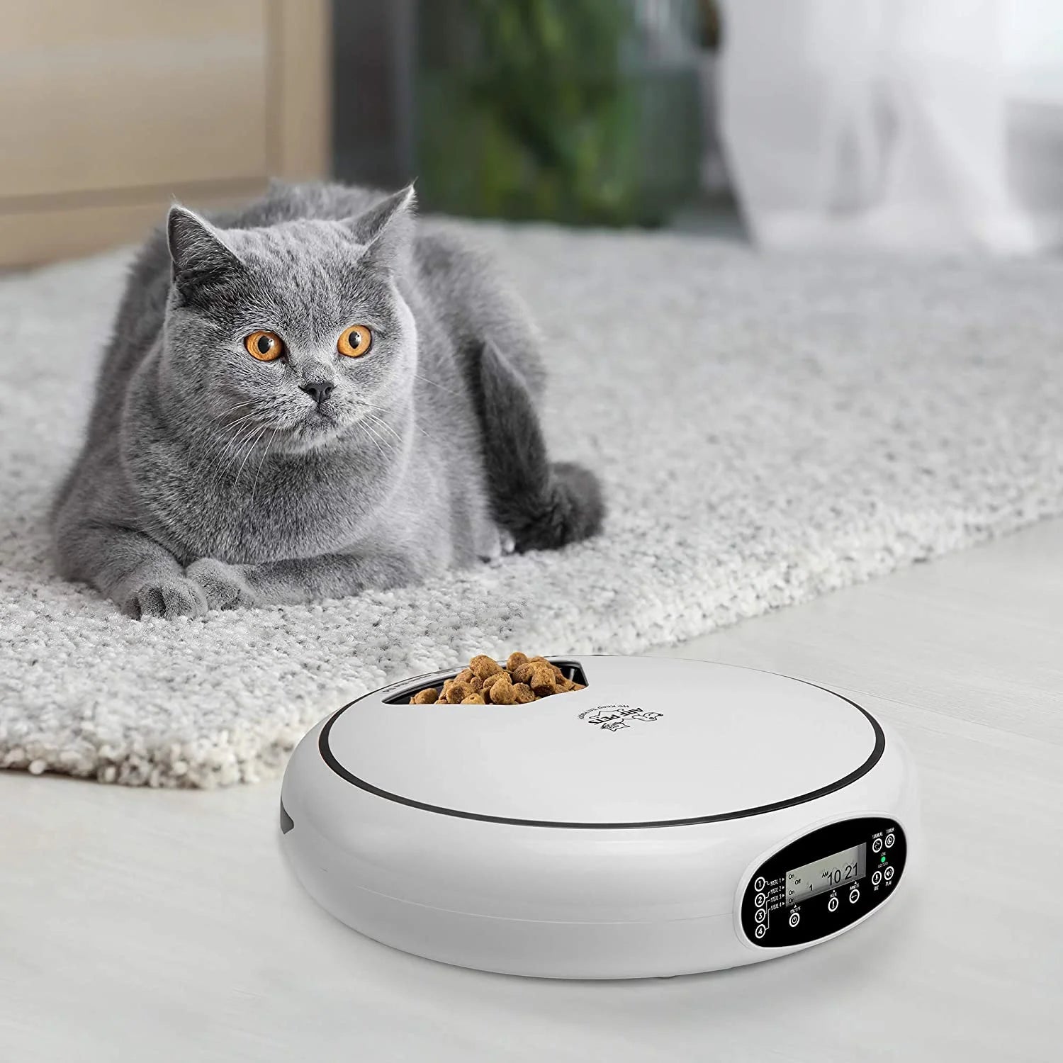 Automatic Pet Feeder, 5 Cup Capacity with Programmable Timer, Portion Control and Dishwasher-Safe Tray for Small Dogs, Cats & Small Animals